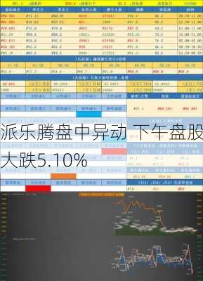 派乐腾盘中异动 下午盘股价大跌5.10%