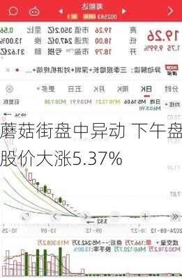 蘑菇街盘中异动 下午盘股价大涨5.37%