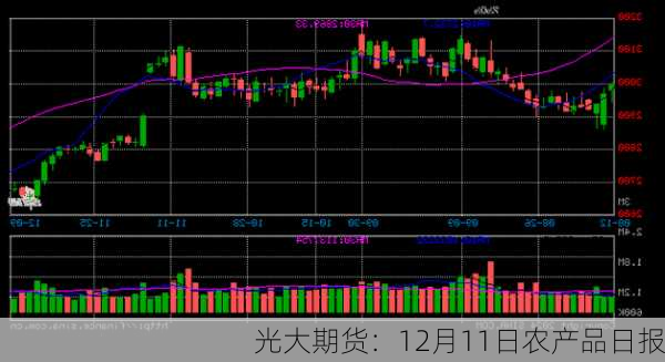 光大期货：12月11日农产品日报