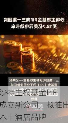 沙特主权基金PIF成立新公司，拟推出本土酒店品牌