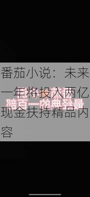 番茄小说：未来一年将投入两亿现金扶持精品内容