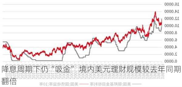 降息周期下仍“吸金” 境内美元理财规模较去年同期翻倍