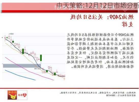 中天策略:12月12日市场分析