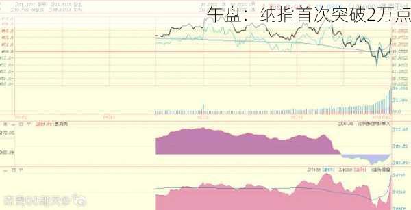 午盘：纳指首次突破2万点