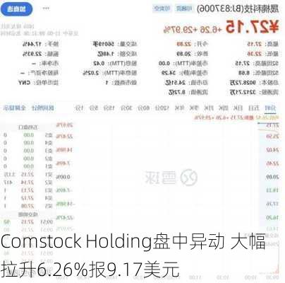 Comstock Holding盘中异动 大幅拉升6.26%报9.17美元