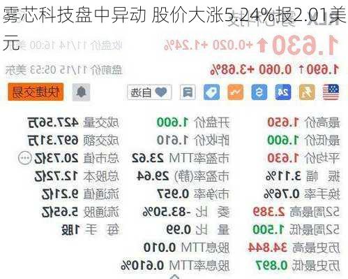 雾芯科技盘中异动 股价大涨5.24%报2.01美元