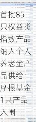 首批85只权益类指数产品纳入个人养老金产品供给：摩根基金1只产品入围