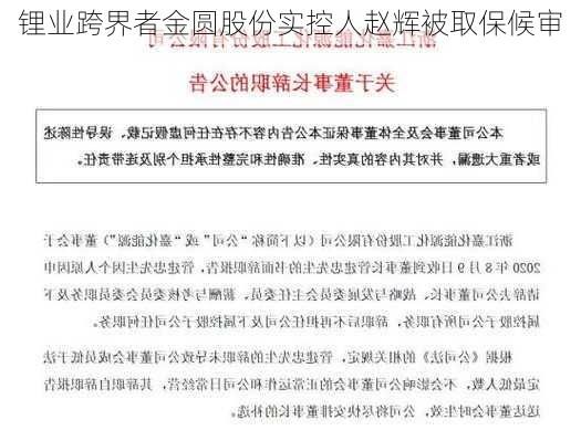 锂业跨界者金圆股份实控人赵辉被取保候审