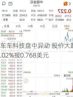 车车科技盘中异动 股价大跌5.02%报0.768美元